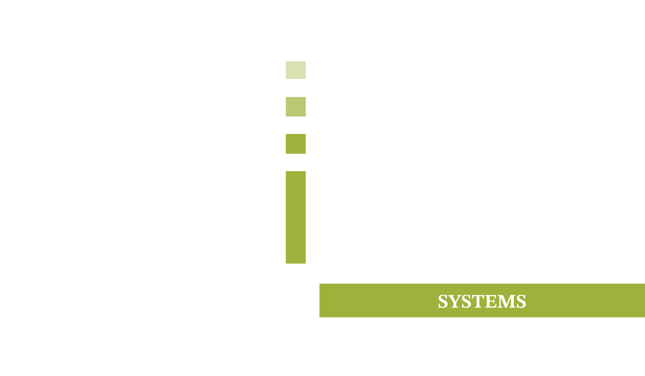 Third Wish Systems